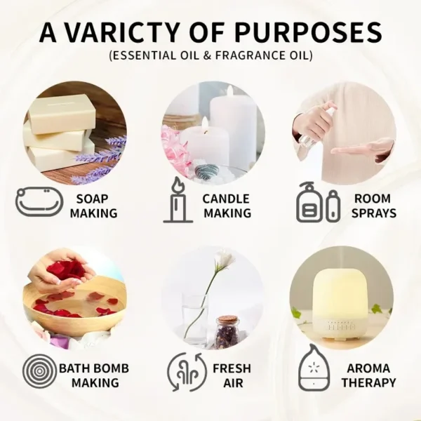 S2da1597f42ba4dbc96baa0c7273be2cbg.webp S2da1597f42ba4dbc96baa0c7273be2cbg.webp