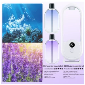 S69872359a2b04557af63d74b484e6336M.webp S69872359a2b04557af63d74b484e6336M.webp