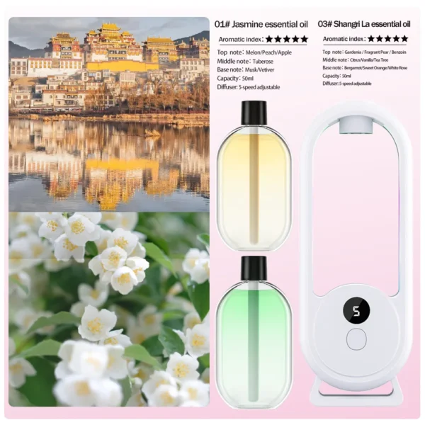 S6e393b88c7cb4e1e86ec1723876208a7F.webp S6e393b88c7cb4e1e86ec1723876208a7F.webp