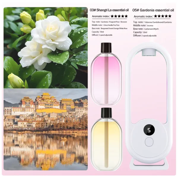 S99654310339f48939ea8c5c6fcfbb9879.webp S99654310339f48939ea8c5c6fcfbb9879.webp