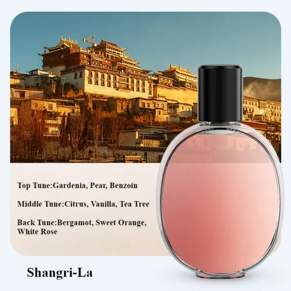 Sdc197d565b5f4529b3d5044c96df2197D.webp Sdc197d565b5f4529b3d5044c96df2197D.webp